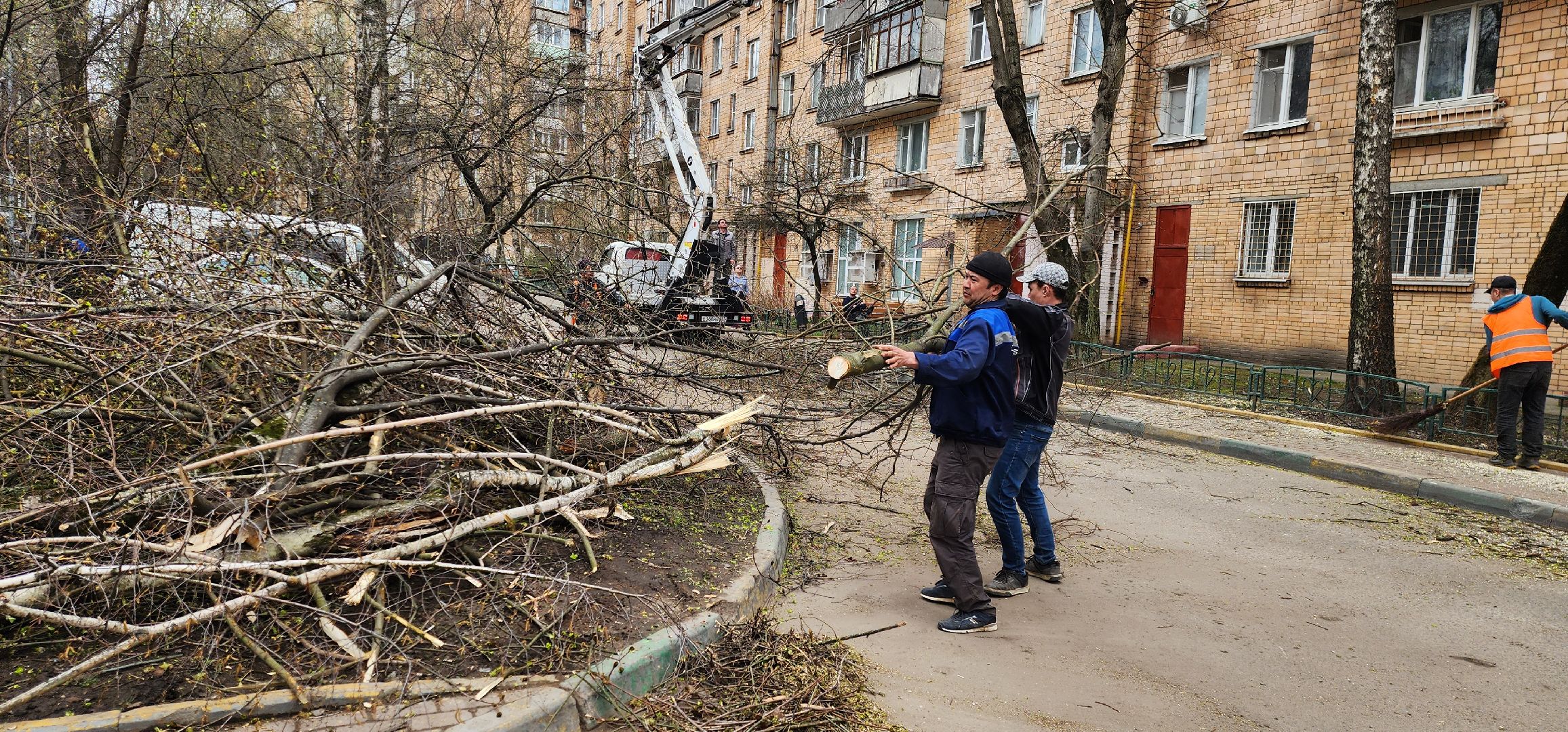 Химки, опиловка деревьев, Жкх, Благоустройство ,