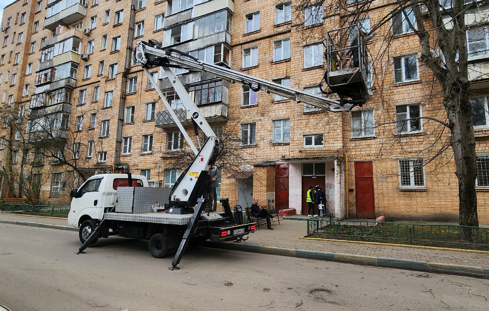 Химки, опиловка деревьев, Жкх, Благоустройство ,
