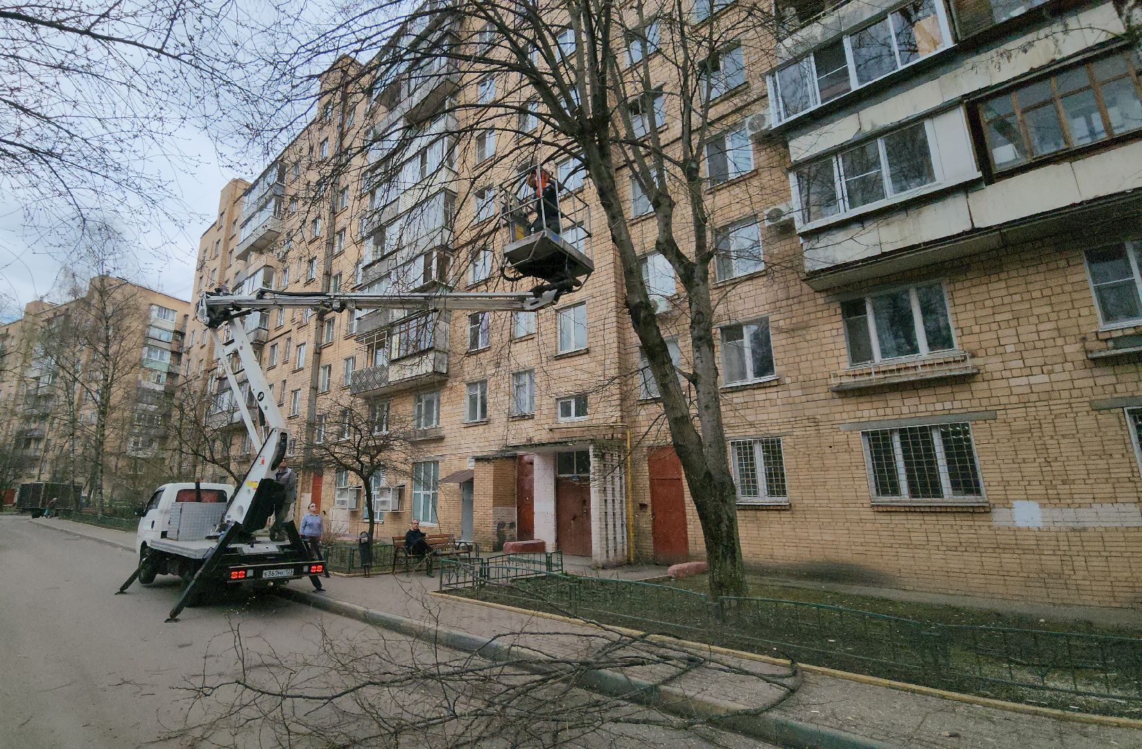 Химки, опиловка деревьев, Жкх, Благоустройство ,