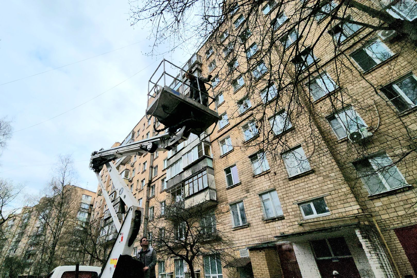 Химки, опиловка деревьев, Жкх, Благоустройство ,