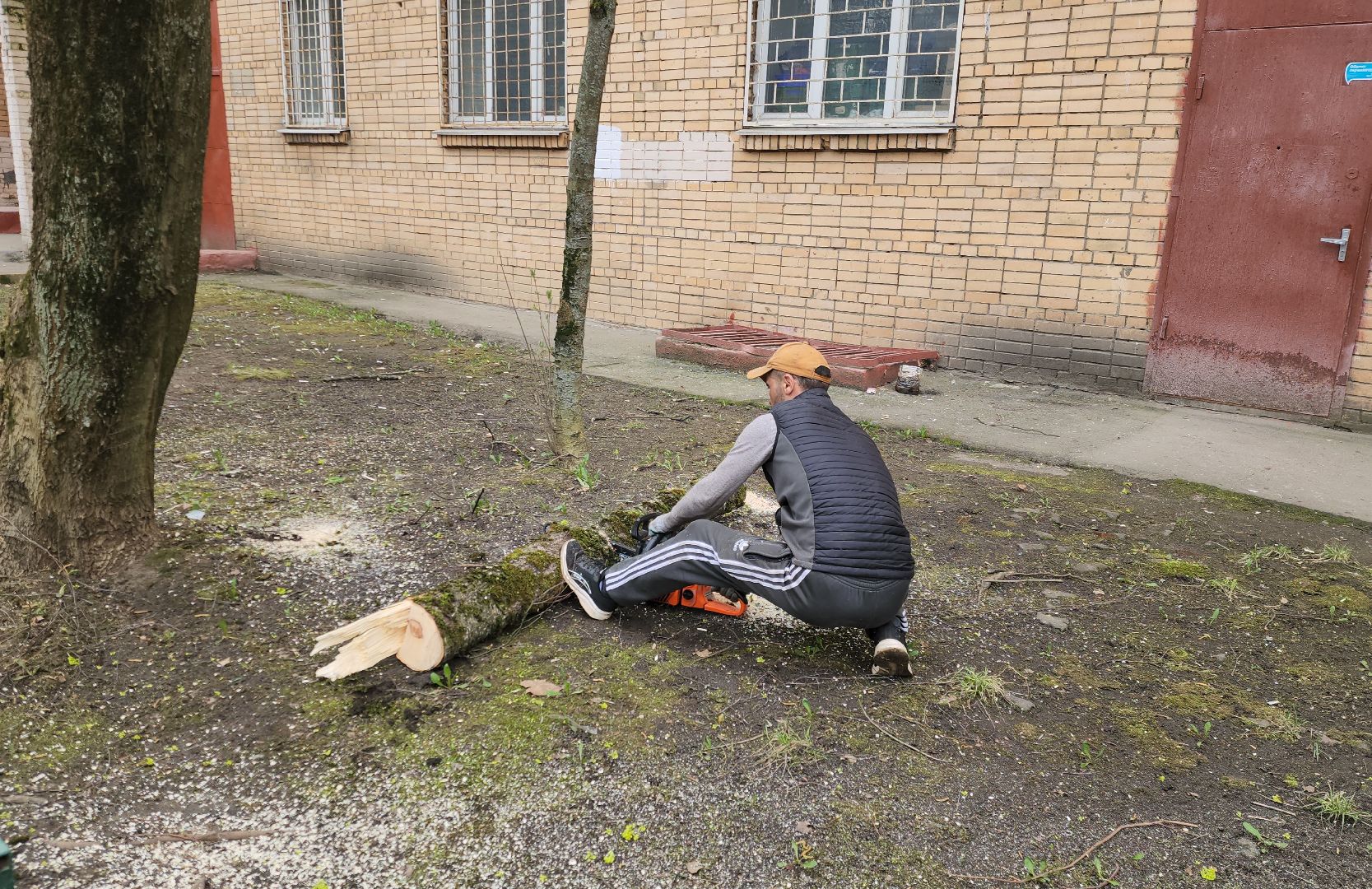 Химки, опиловка деревьев, Жкх, Благоустройство ,