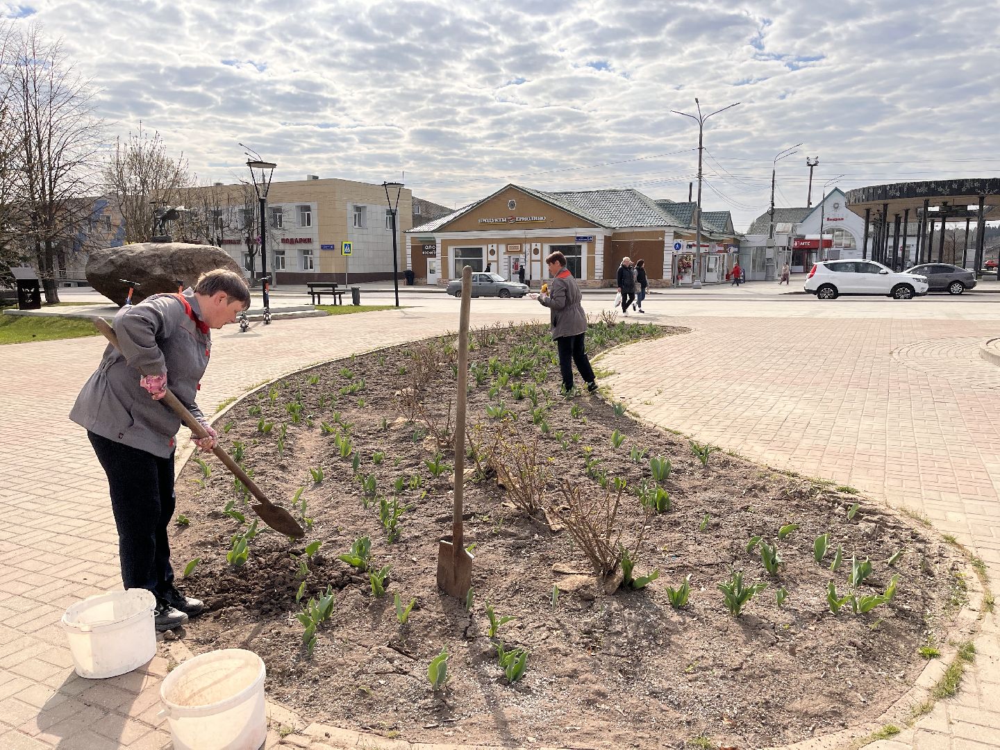 Шаховская, клумбы, благоустройство
