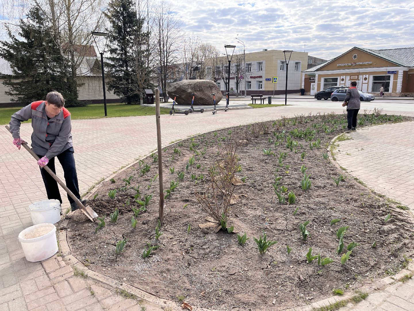 Шаховская, клумбы, благоустройство