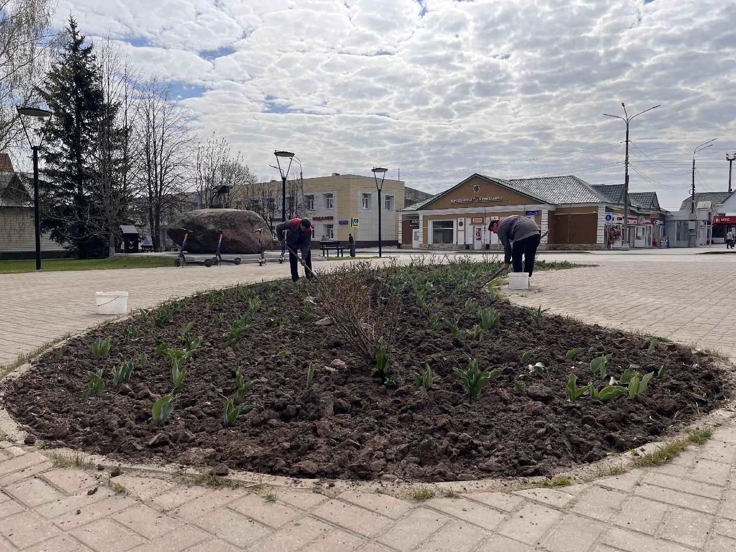 Шаховская, клумбы, благоустройство
