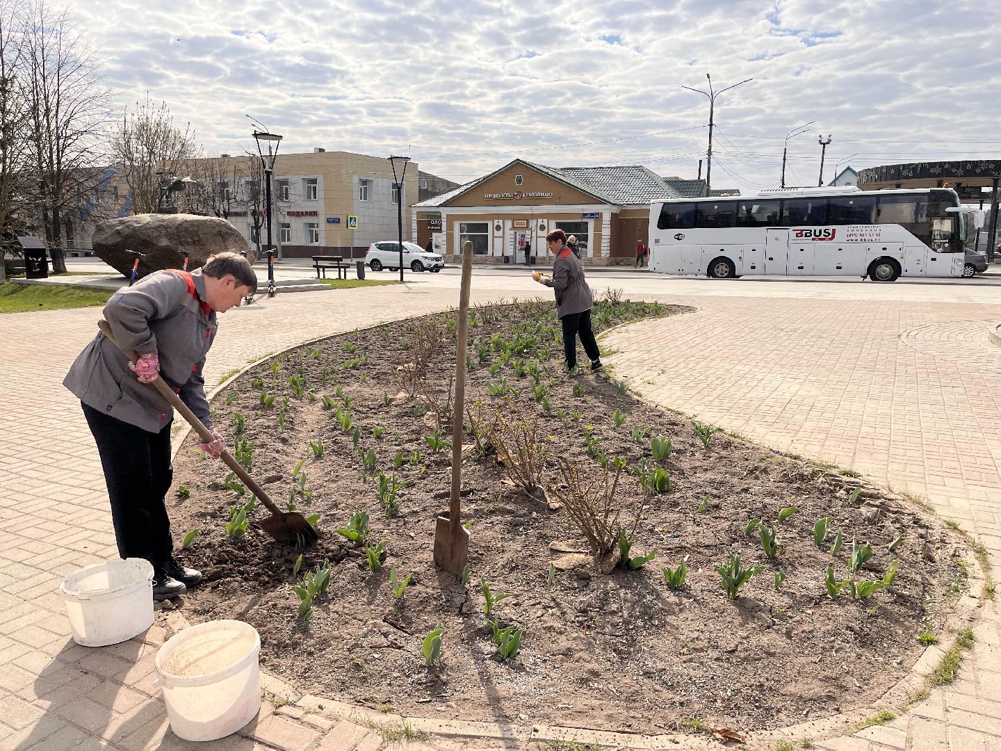 Шаховская, клумбы, благоустройство