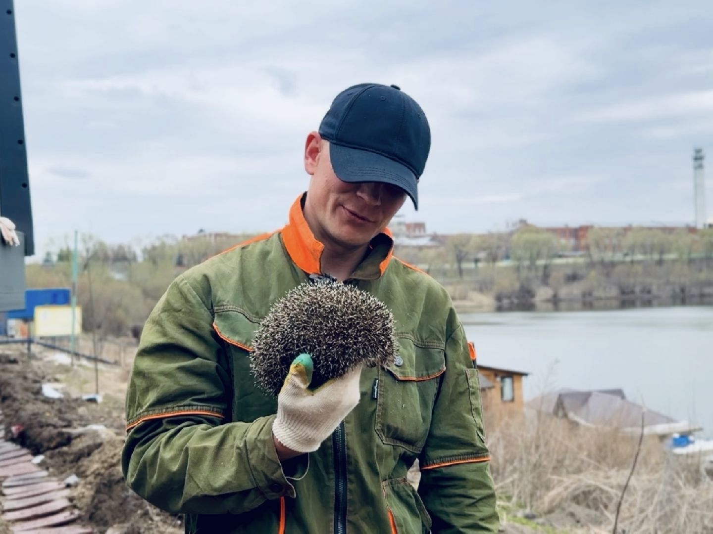 Раменское , спасение, спасение животных,