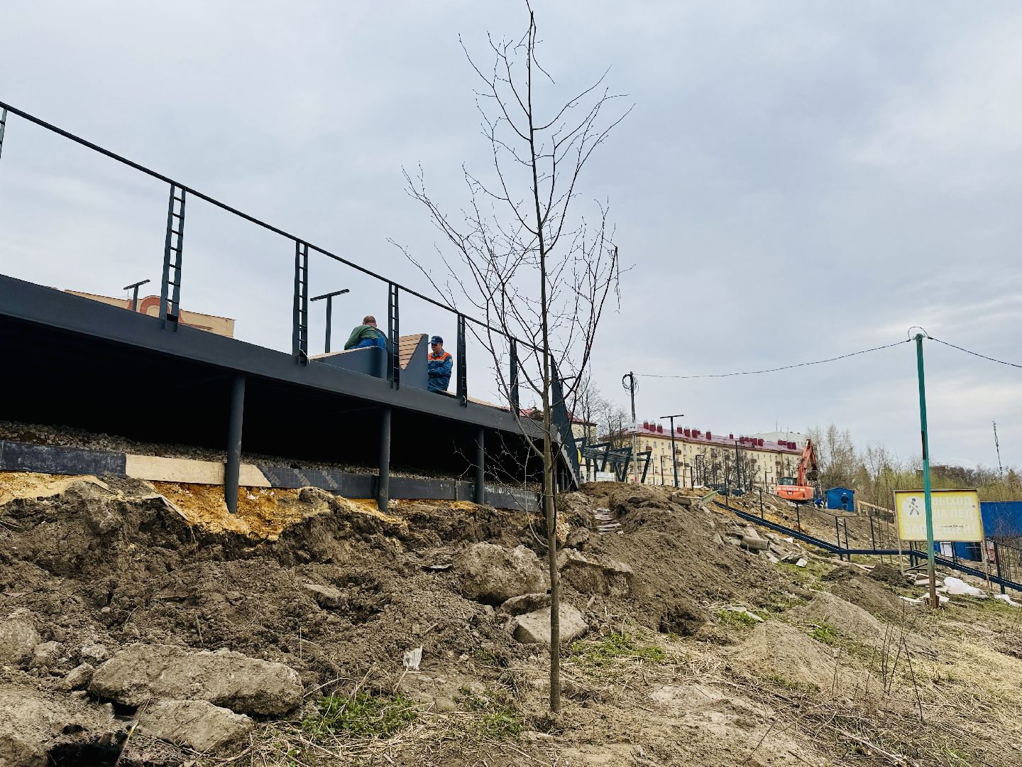 Раменское , спасение, спасение животных,