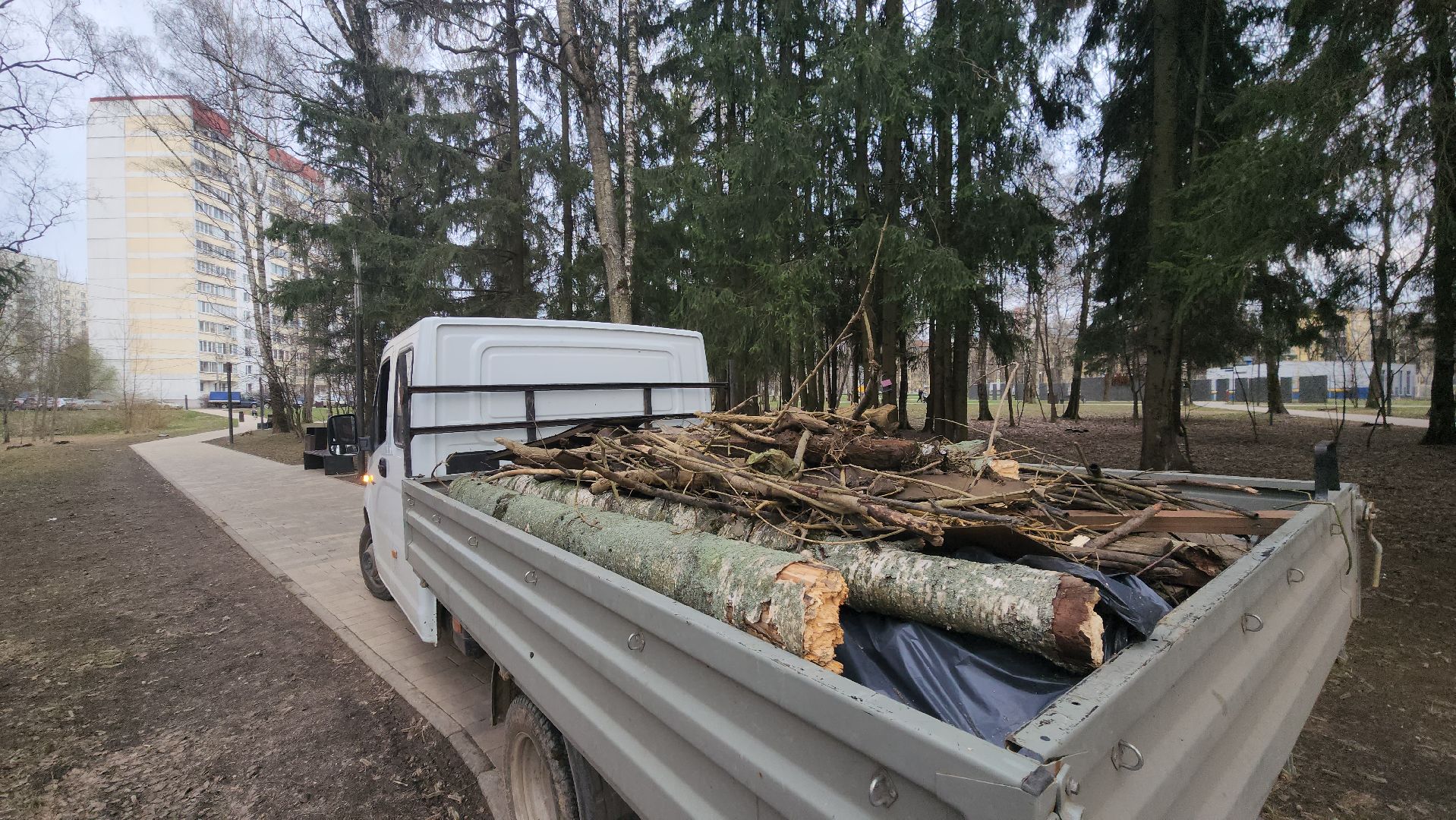 субботник, очистка водоема, Река, Лобня,