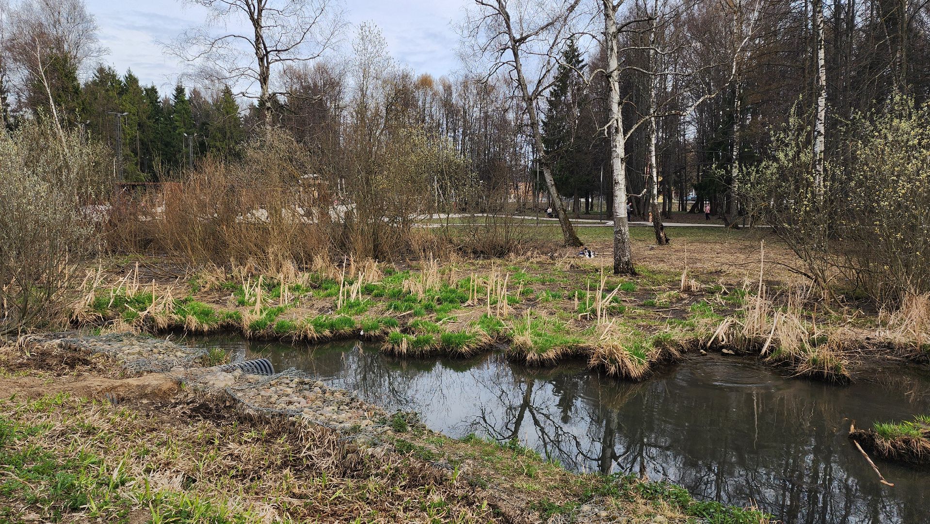 субботник, очистка водоема, Река, Лобня,
