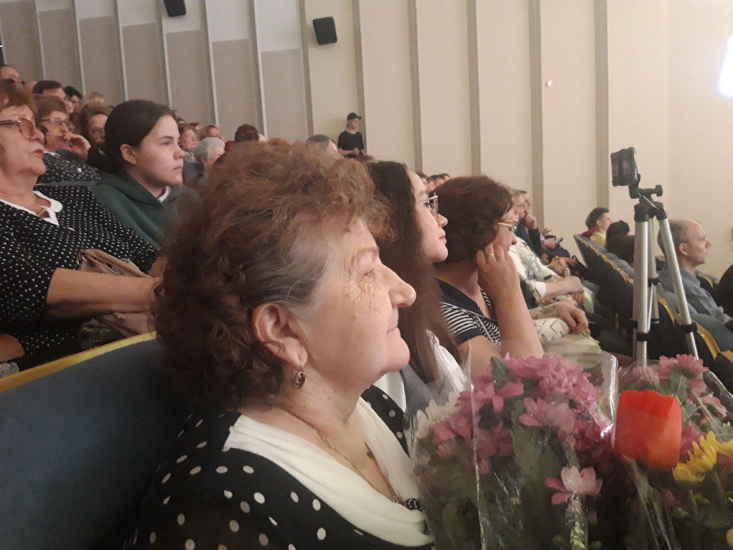 концерт, театр, школы,