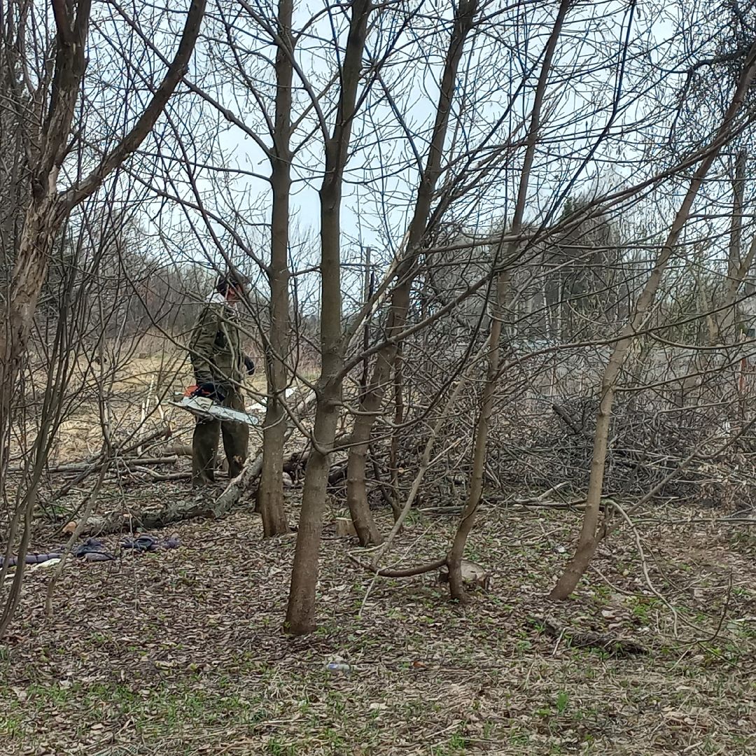 сергиев посад, хотьково, благоуйстройство, субботник, опиловка деревьев,