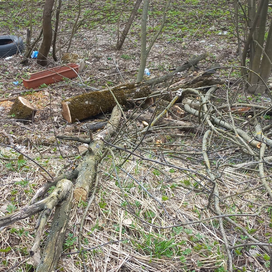сергиев посад, хотьково, благоуйстройство, субботник, опиловка деревьев,