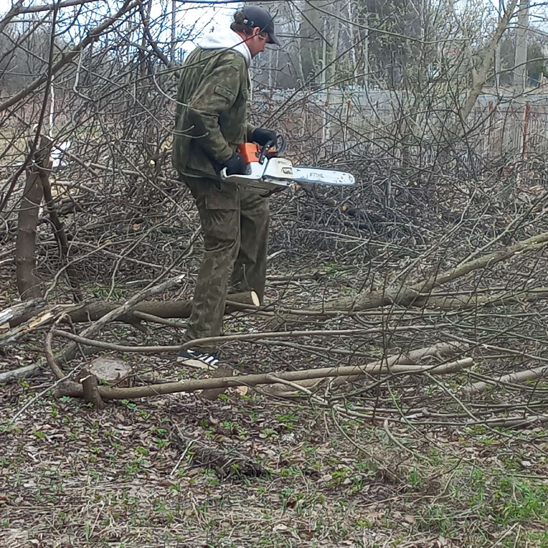 сергиев посад, хотьково, благоуйстройство, субботник, опиловка деревьев,