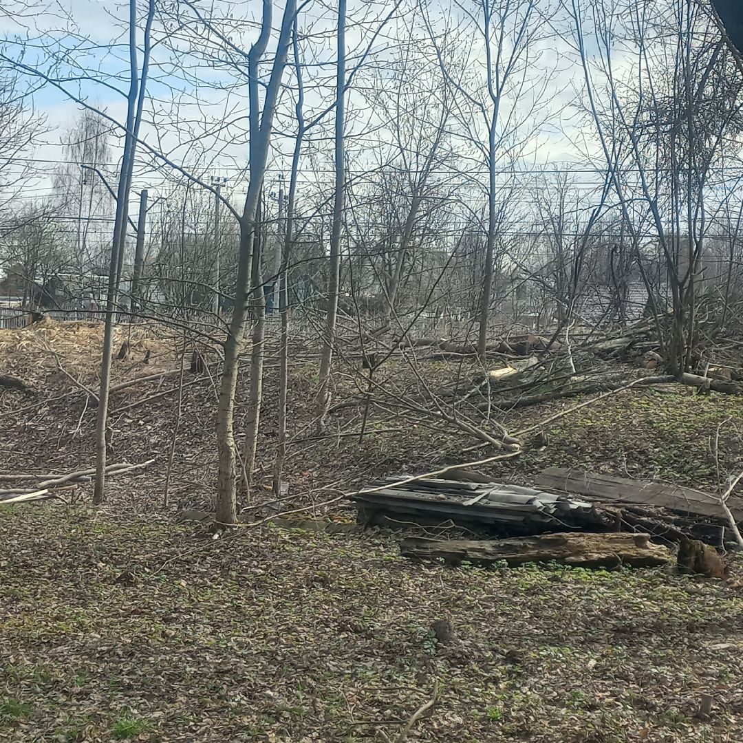 сергиев посад, хотьково, благоуйстройство, субботник, опиловка деревьев,
