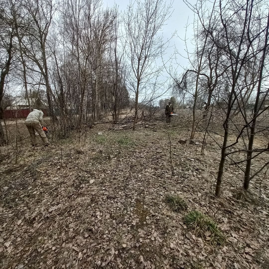 сергиев посад, хотьково, благоуйстройство, субботник, опиловка деревьев,