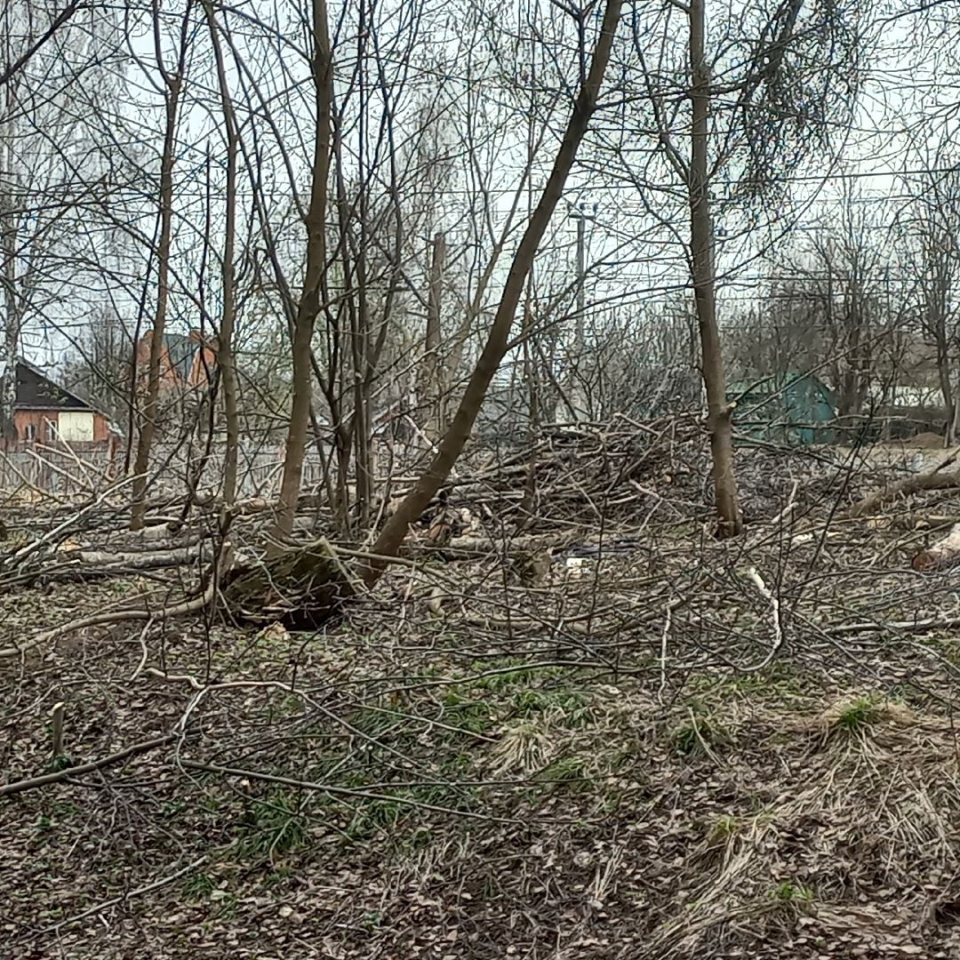 сергиев посад, хотьково, благоуйстройство, субботник, опиловка деревьев,