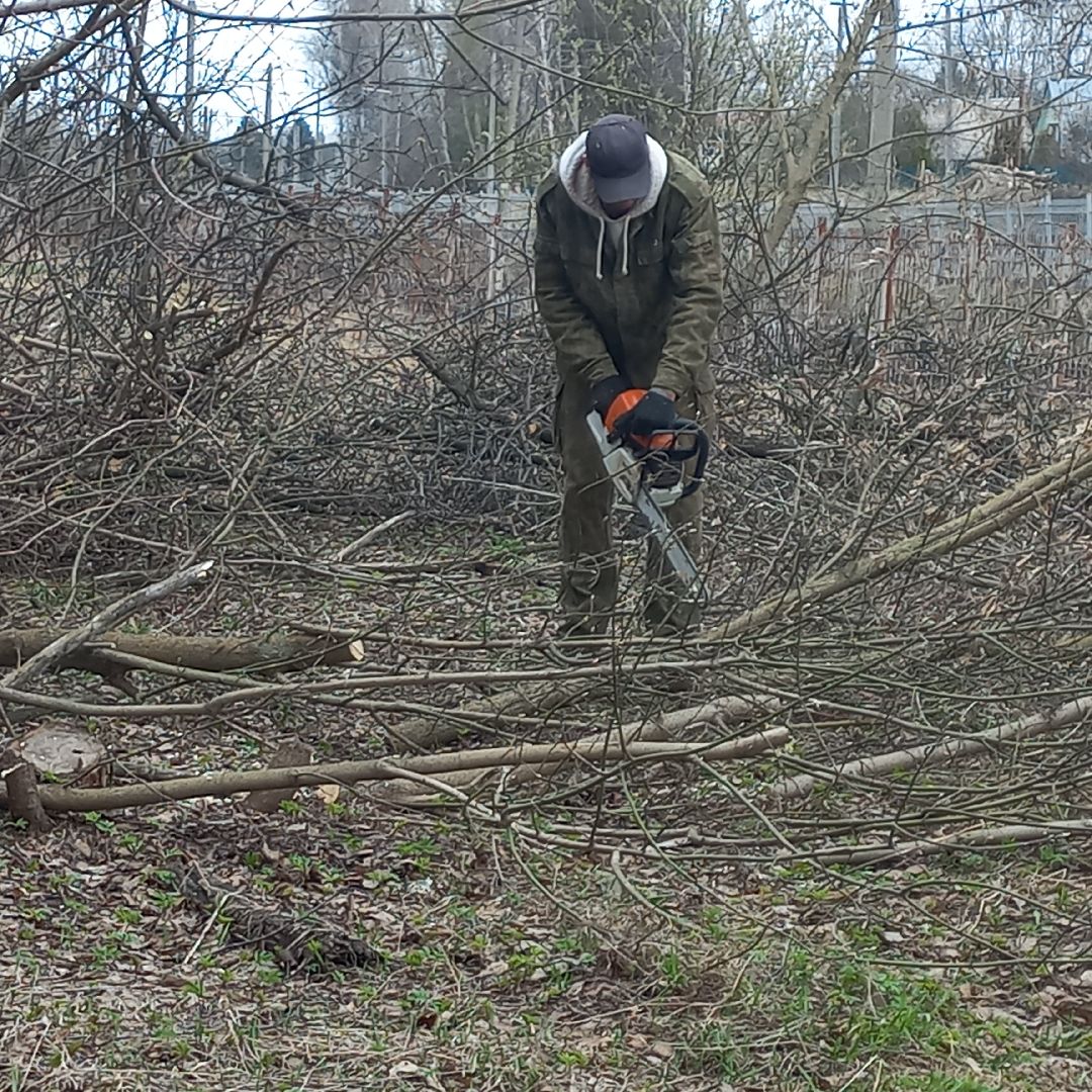 сергиев посад, хотьково, благоуйстройство, субботник, опиловка деревьев,