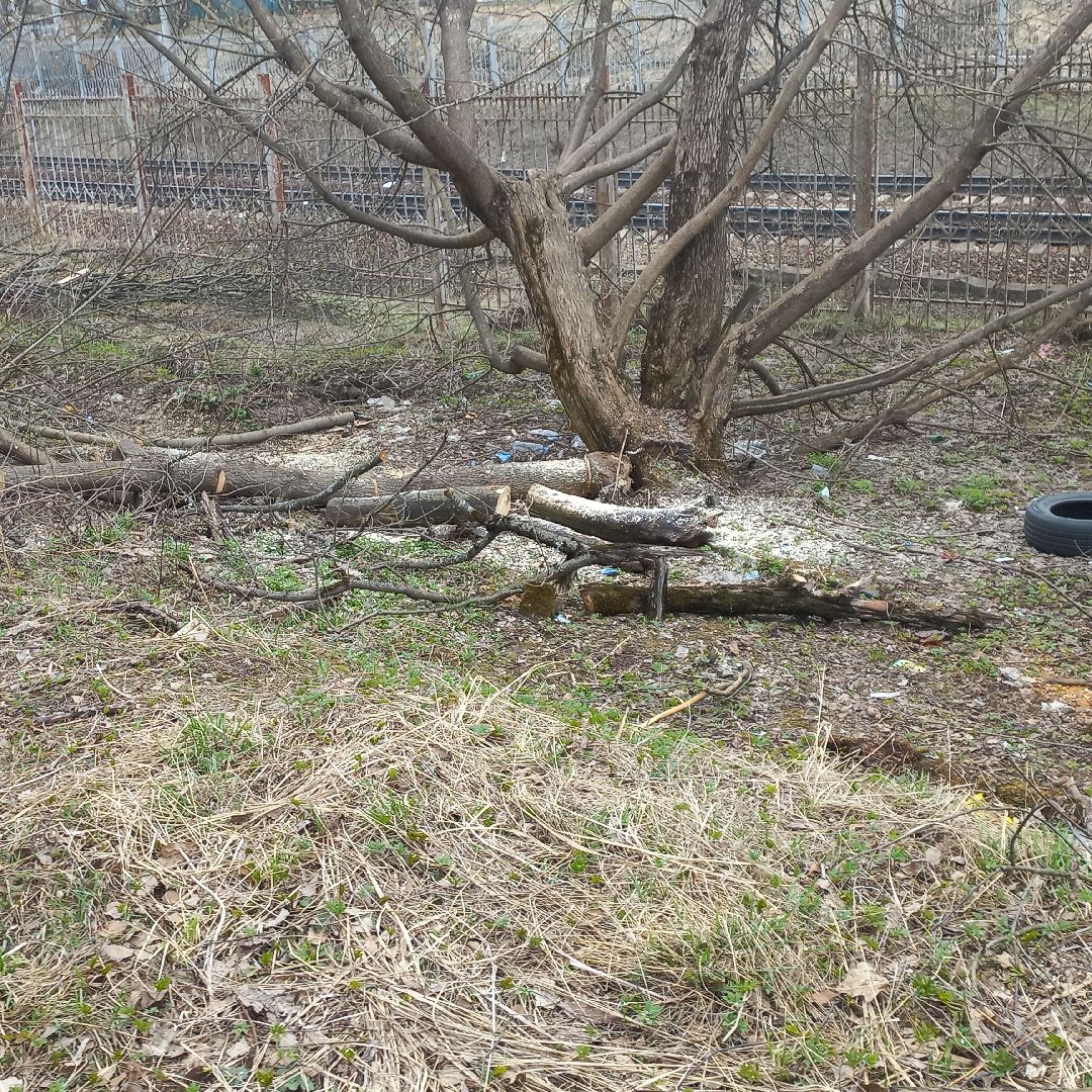 сергиев посад, хотьково, благоуйстройство, субботник, опиловка деревьев,