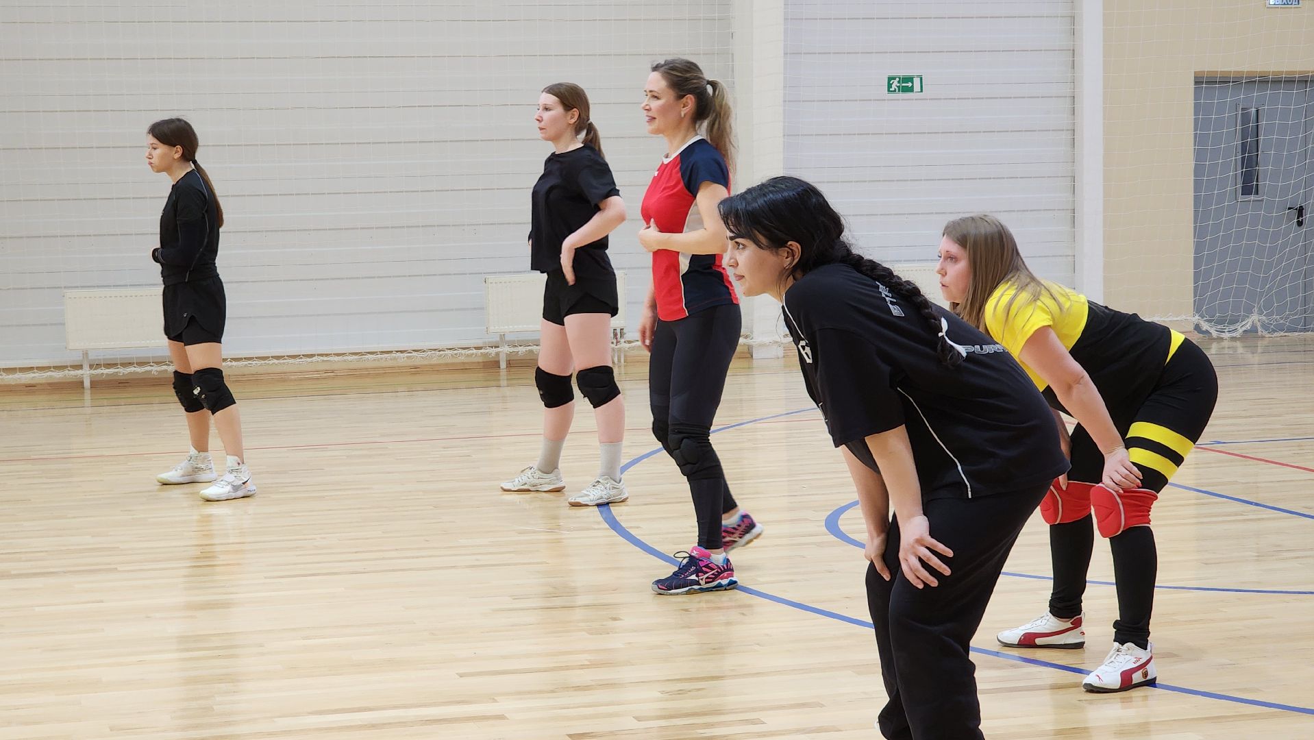спорт, волейбол,  ФОК Акрихин, Старая Купавна, Богородский городской округ,