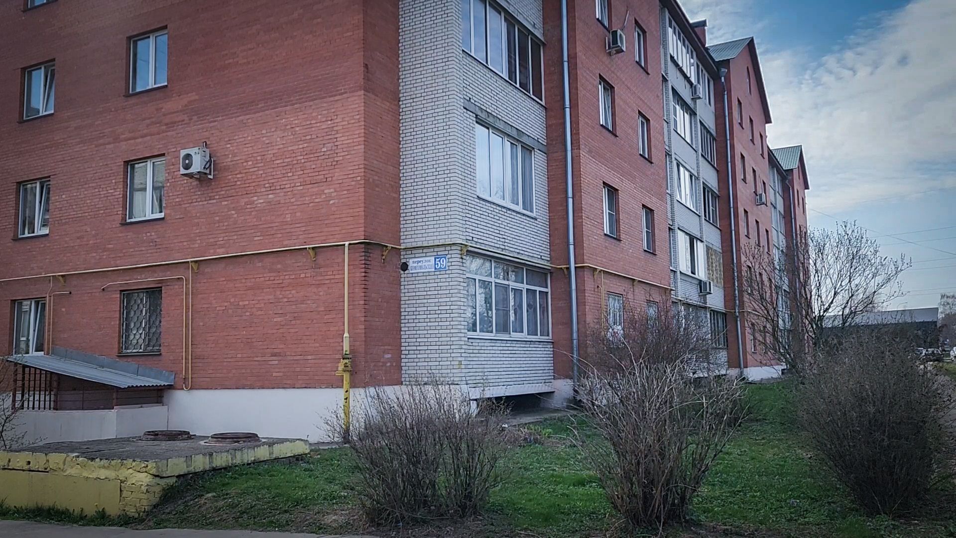 Бронницы , Зацвели первые нарциссы ,