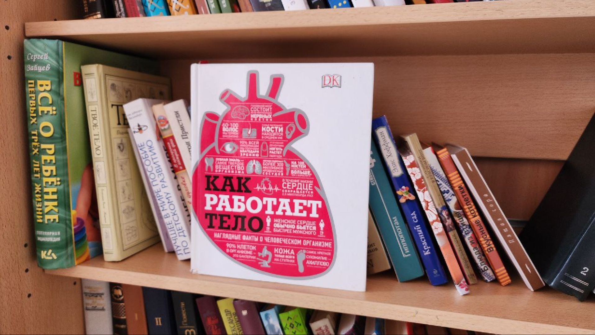 Дмитров, Дом рождения, Роддом, Дмитровская больница, Минздрав,