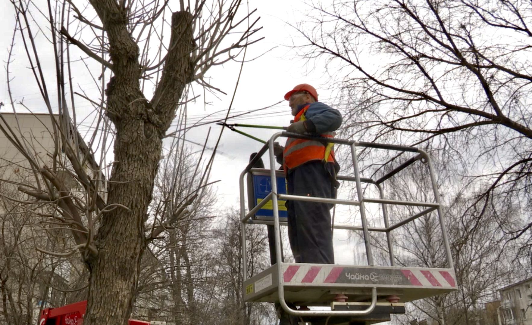 Клин, благоустройство, люди, опиловка