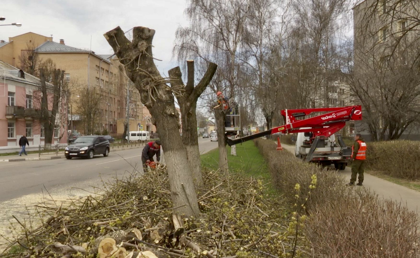 Клин, благоустройство, люди, опиловка
