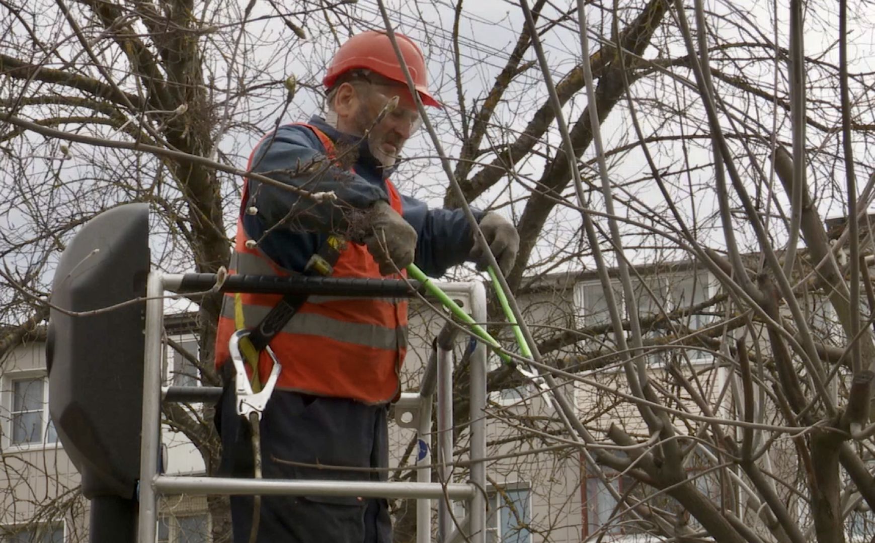 Клин, благоустройство, люди, опиловка