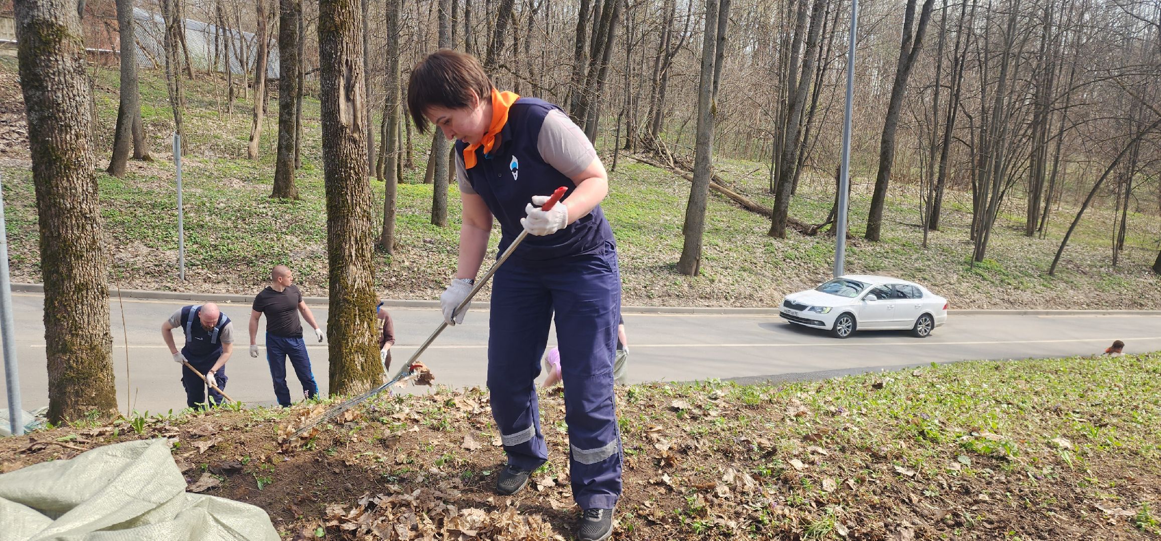 Звенигород, Экология, Субботники, Эко-активисты,