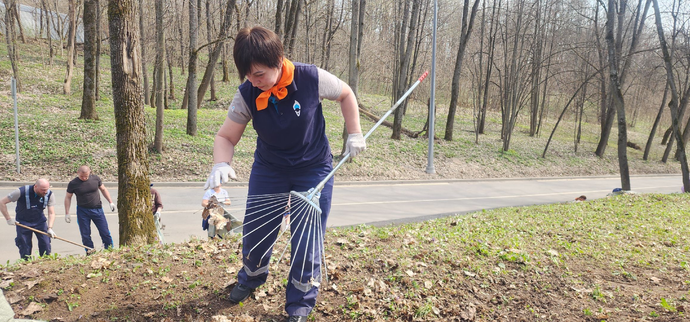 Звенигород, Экология, Субботники, Эко-активисты,