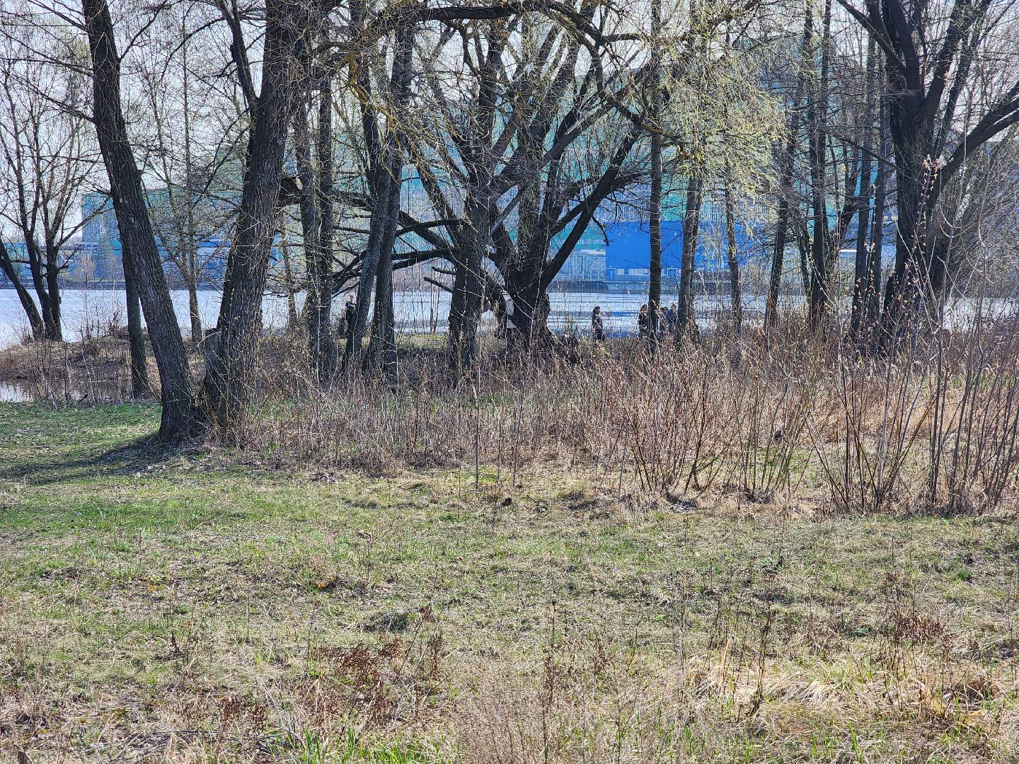 субботник, шатура, шатурская грэс, благоустройство,