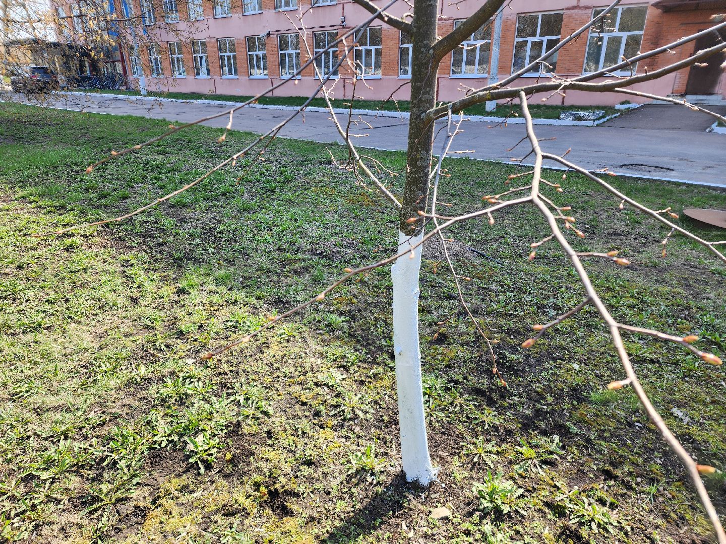 субботник, шатура, шатурская грэс, благоустройство,