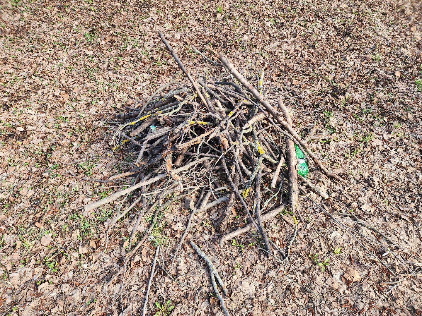 субботник, шатура, шатурская грэс, благоустройство,