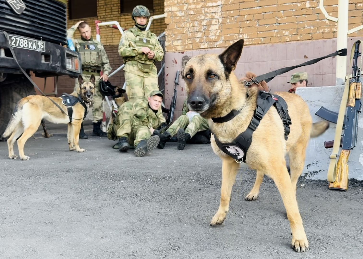 раменское, молодежь, спартакиада, кинологи росгвардии,