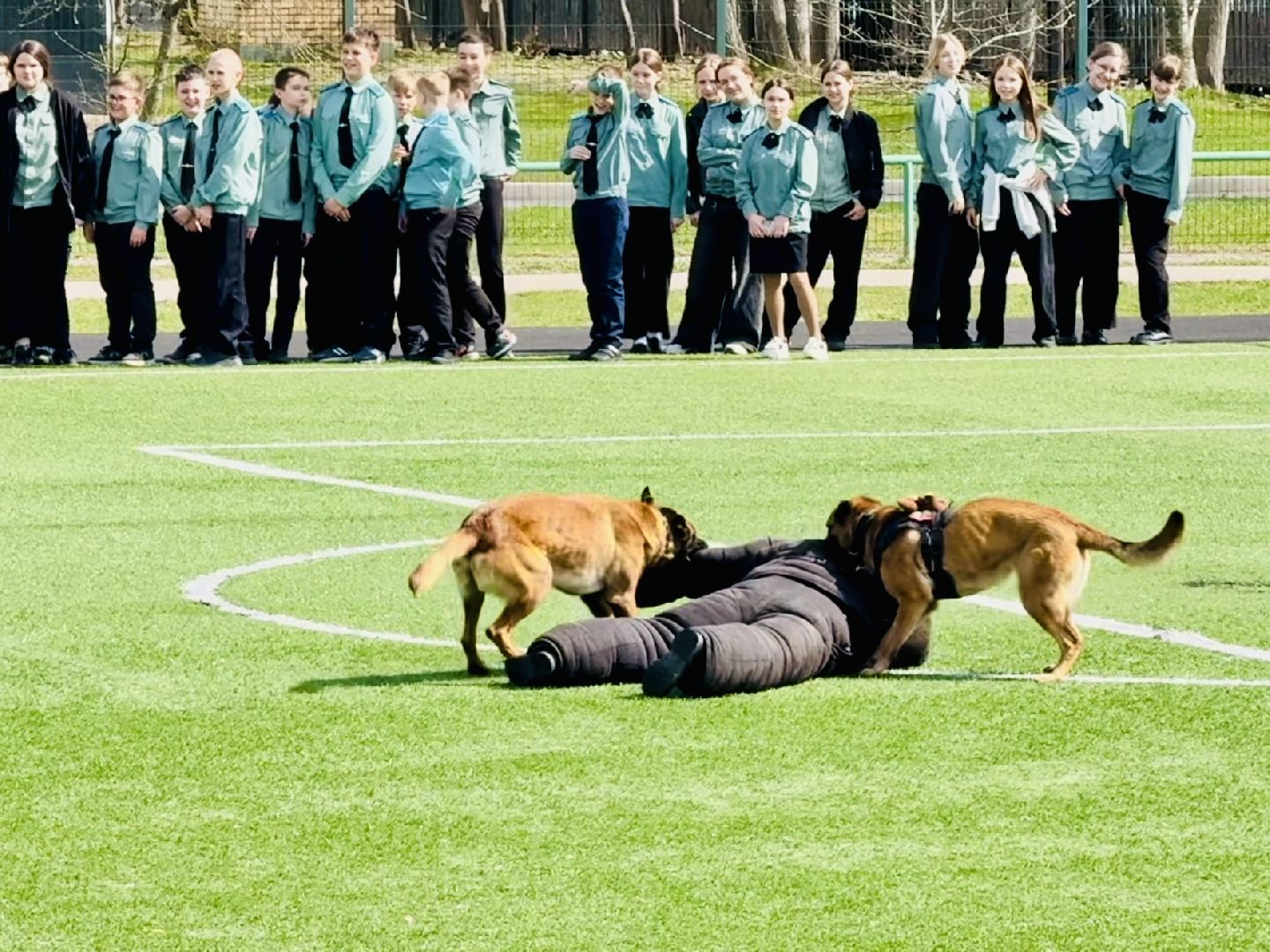 раменское, молодежь, спартакиада, кинологи росгвардии,