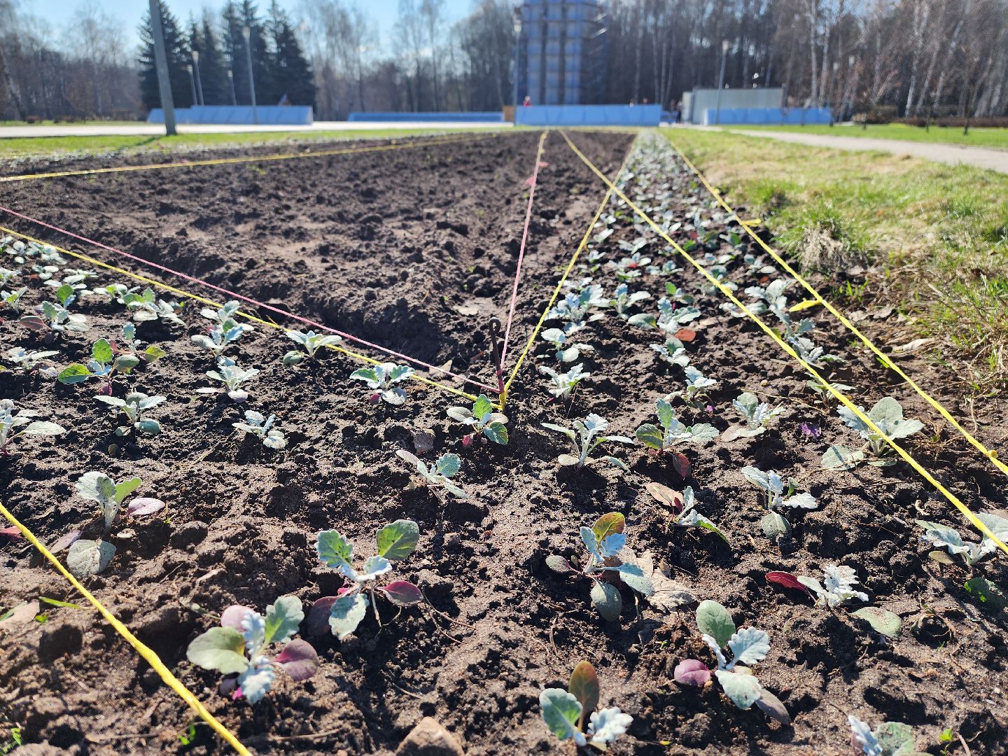 королёв, день победы, благоустройство, мемориал славы в королеве,