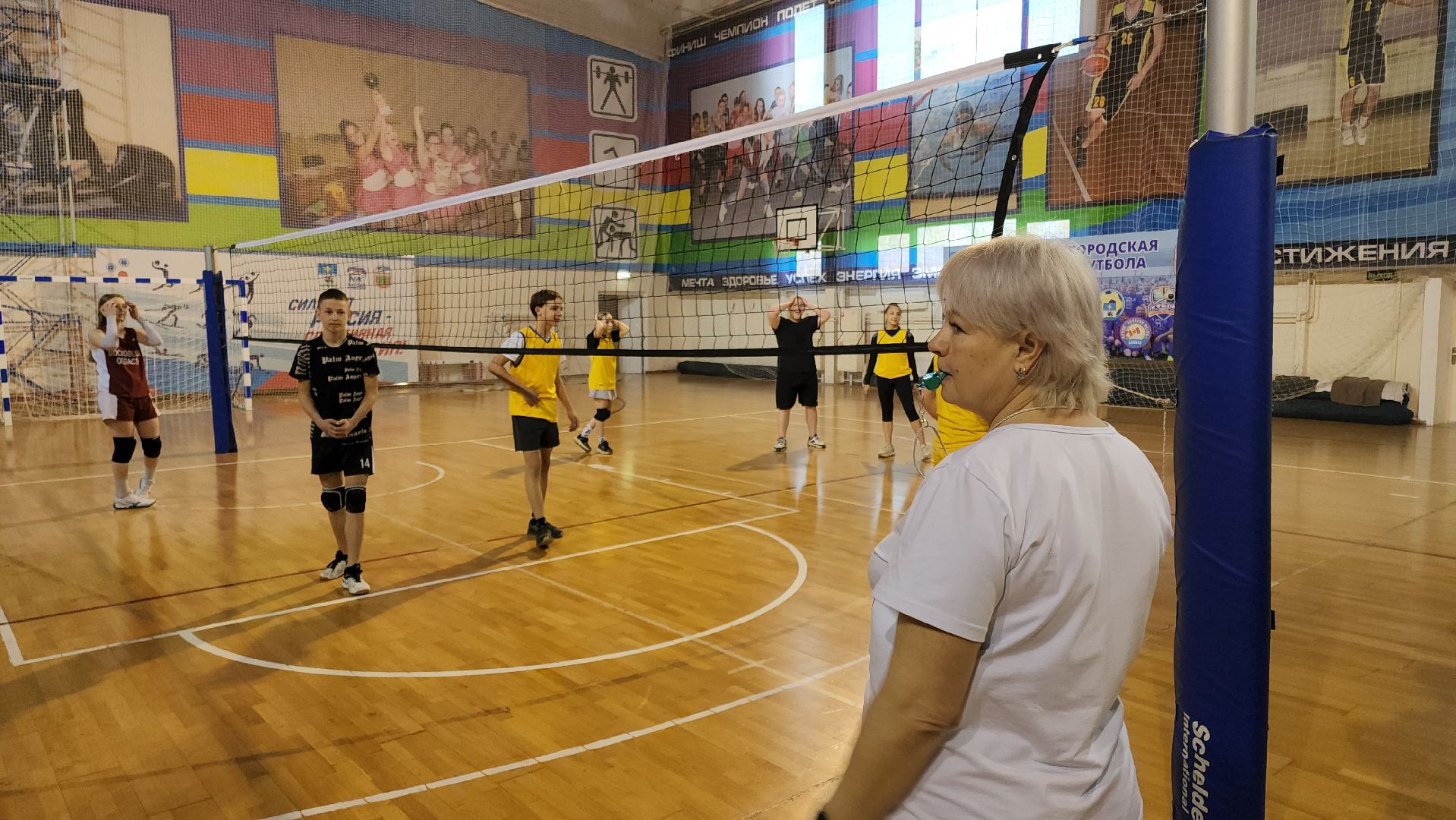 кашира, дс юбилейный, спорт, волейбол, президентские спортивные игры, школьники,