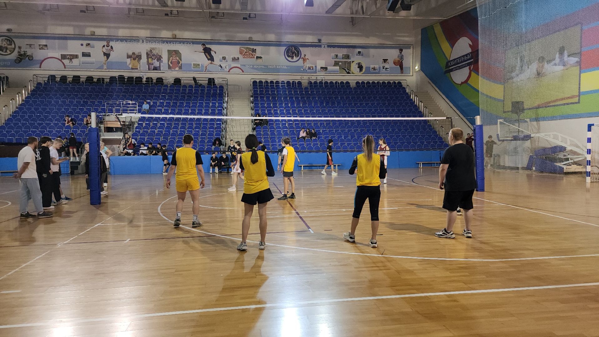 кашира, дс юбилейный, спорт, волейбол, президентские спортивные игры, школьники,