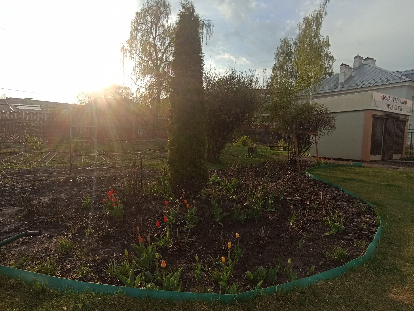 Серпухов, Подмосковье, монастырь, весна, тюльпаны, цветение, черешня, туризм, православие, поломничество