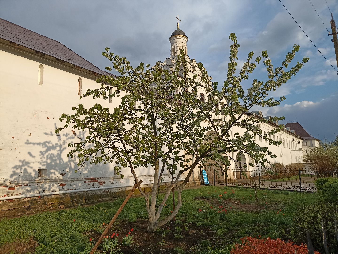 Серпухов, Подмосковье, монастырь, весна, тюльпаны, цветение, черешня, туризм, православие, поломничество