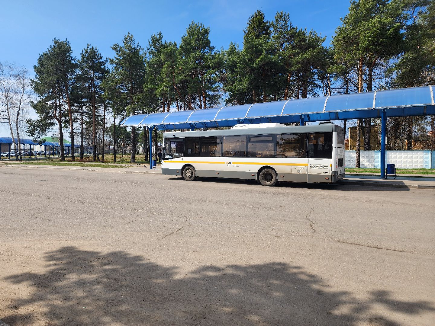 транспорт, шатурское патп, шатура, автобусы, пасха,