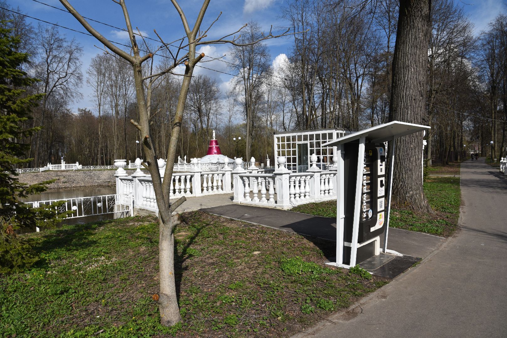 лотошино, лотошинский парк, лебеди, экология,