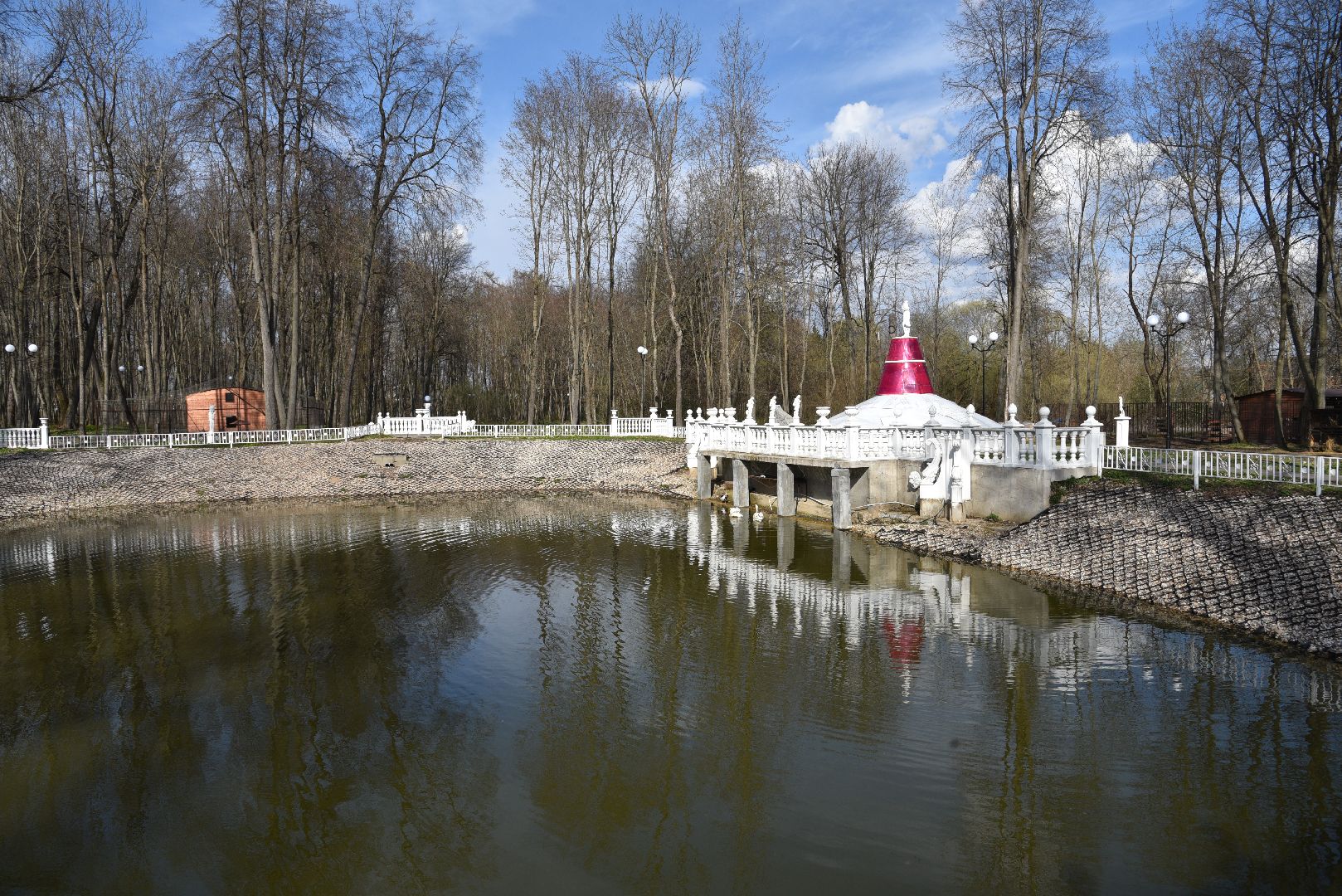 лотошино, лотошинский парк, лебеди, экология,