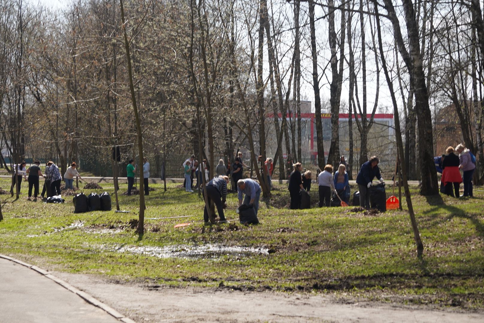 павловский  посад, парк победы, уборка,