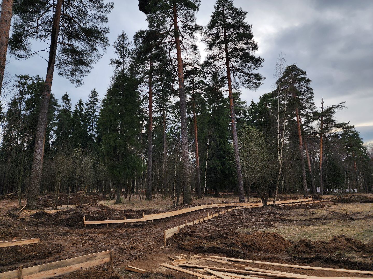 красноармейск, городской округ пушкинский, лесопарк, банный лес, инициатива жителей,
