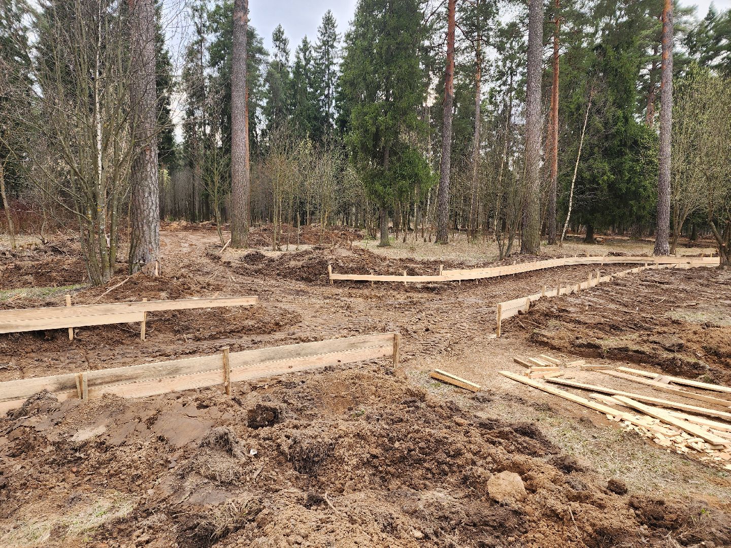 красноармейск, городской округ пушкинский, лесопарк, банный лес, инициатива жителей,