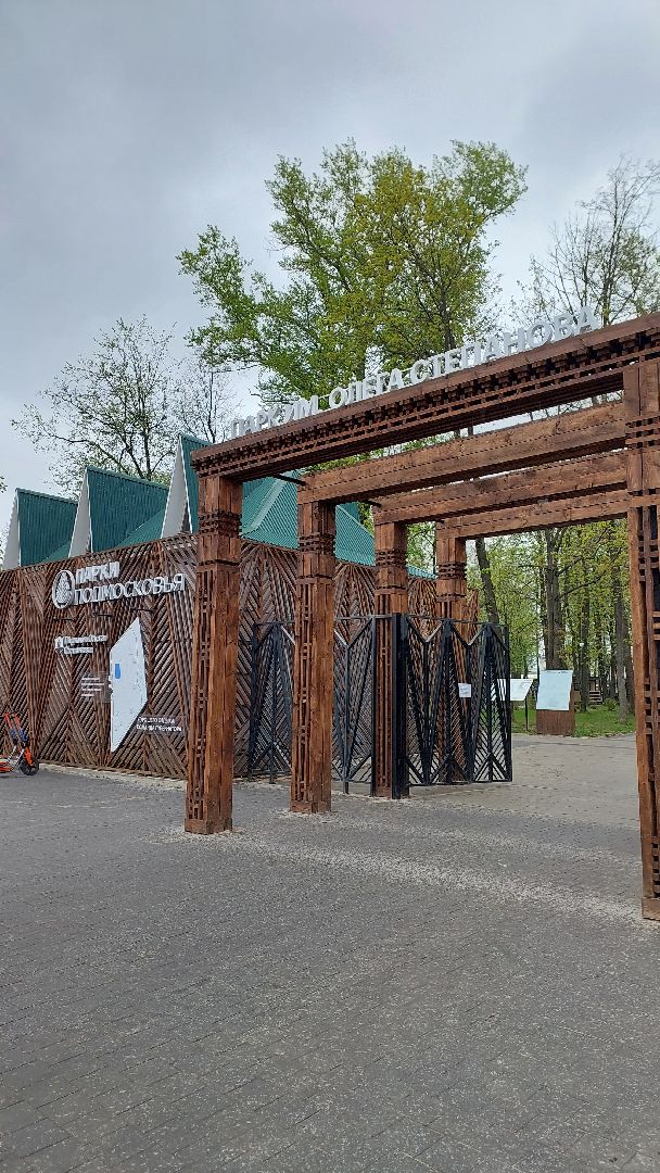 серпухов, лебеди, городской парк, парки подмосковья, зимовка, перемены, весна,