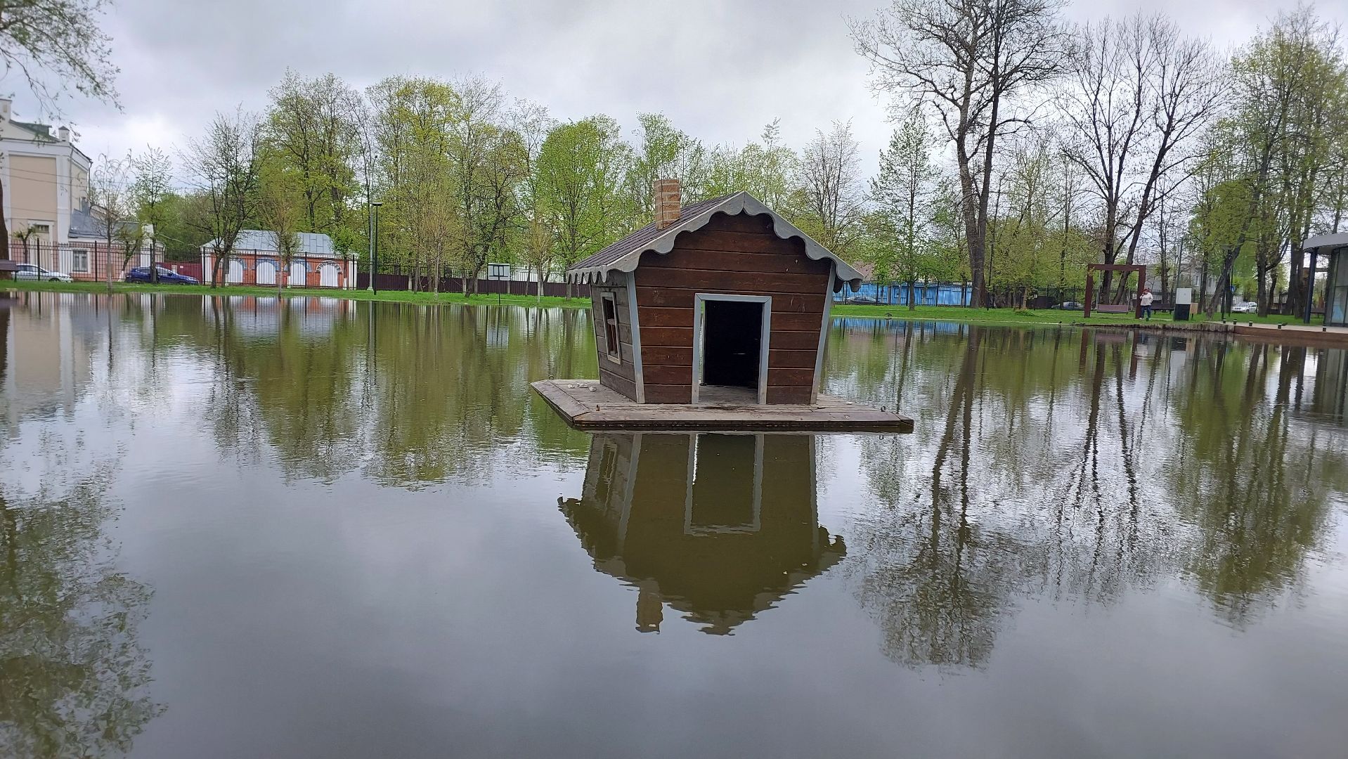 серпухов, лебеди, городской парк, парки подмосковья, зимовка, перемены, весна,