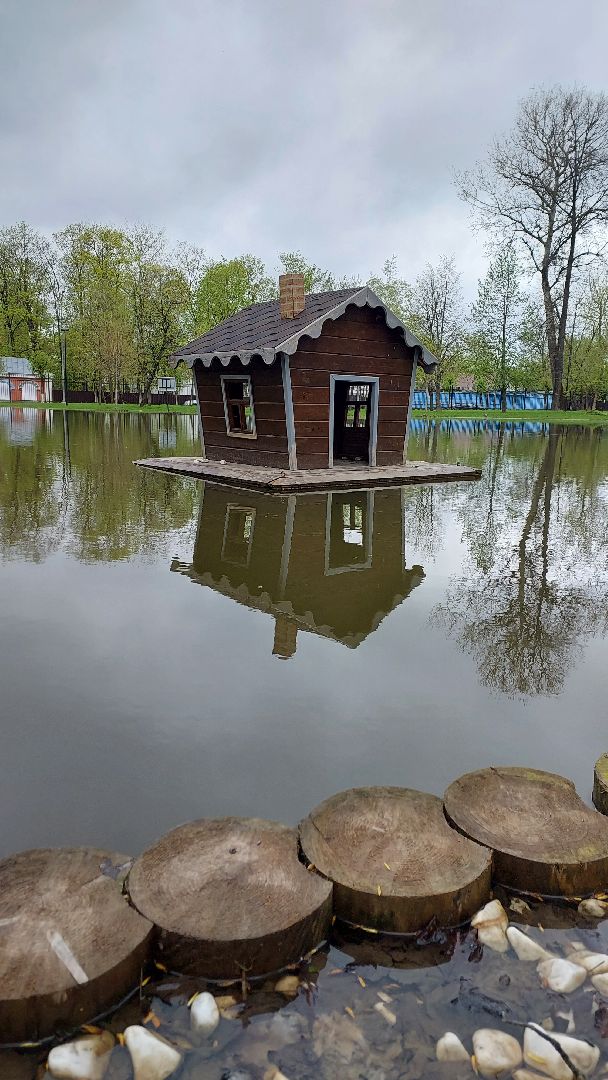 серпухов, лебеди, городской парк, парки подмосковья, зимовка, перемены, весна,