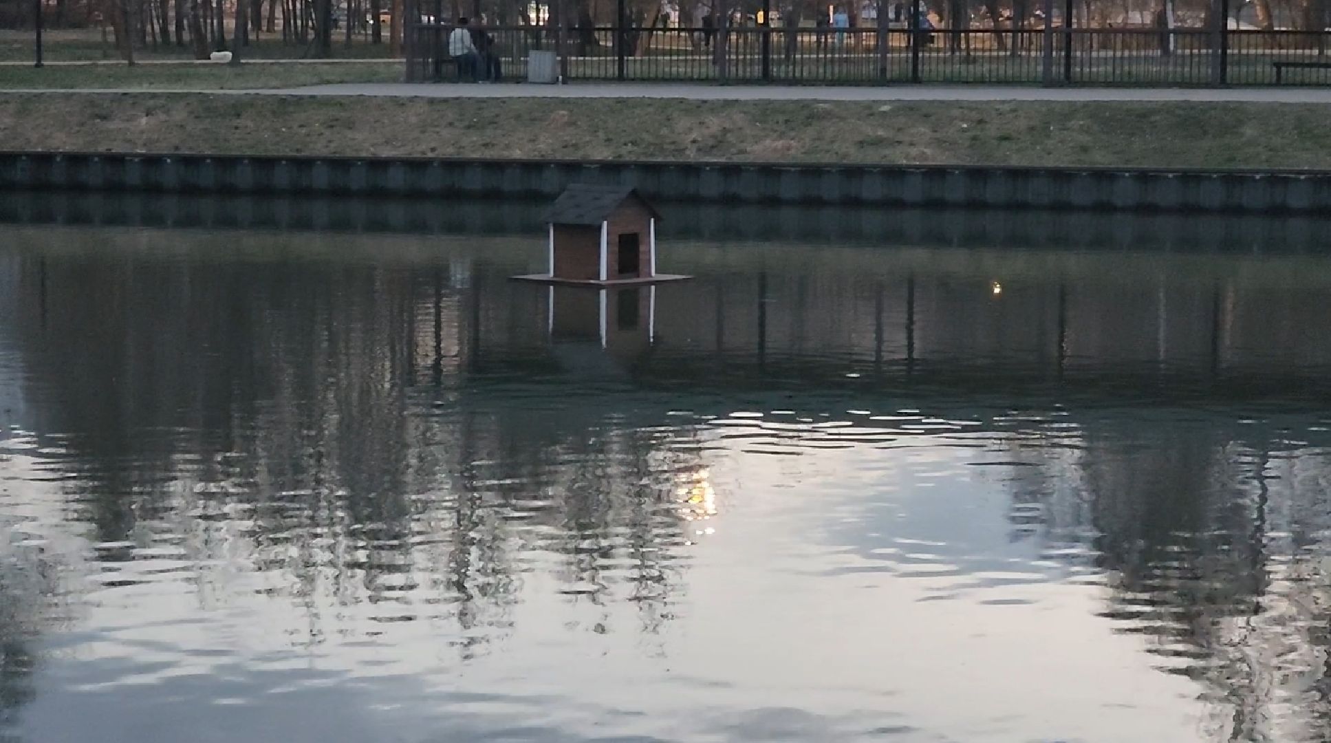 долгопрудный, парки, утки, чайки, пруды, домик для уток,